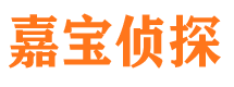 咸丰侦探公司